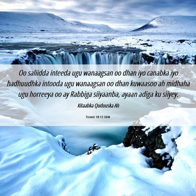 Picture 06 - Tirintii 18:12 SOM - Oo saliidda inteeda ugu wanaagsan oo dhan iyo - Bible Verse Picture