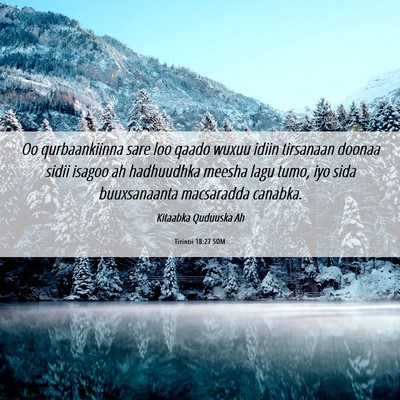 Picture 06 - Tirintii 18:27 SOM - Oo qurbaankiinna sare loo qaado wuxuu idiin - Bible Verse Picture