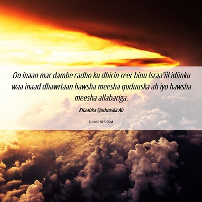 Picture 06 - Tirintii 18:5 SOM - Oo inaan mar dambe cadho ku dhicin reer binu - Bible Verse Picture