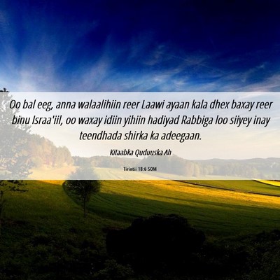 Picture 06 - Tirintii 18:6 SOM - Oo bal eeg, anna walaalihiin reer Laawi ayaan - Bible Verse Picture