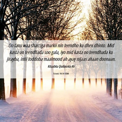 Picture 06 - Tirintii 19:14 SOM - Oo tanu waa sharciga markii nin teendho ku dhex - Bible Verse Picture