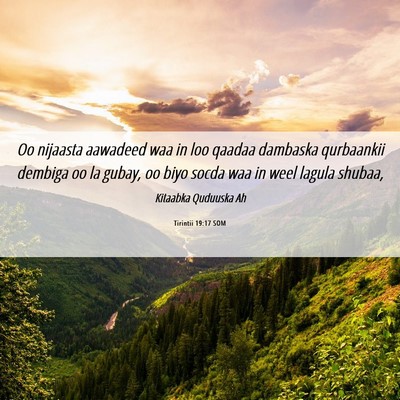 Picture 06 - Tirintii 19:17 SOM - Oo nijaasta aawadeed waa in loo qaadaa dambaska - Bible Verse Picture