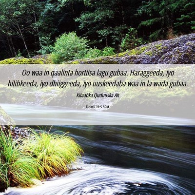 Picture 06 - Tirintii 19:5 SOM - Oo waa in qaalinta hortiisa lagu gubaa. - Bible Verse Picture