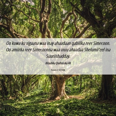 Picture 06 - Tirintii 2:12 SOM - Oo kuwa ku xigaana waa inay ahaadaan qabiilka - Bible Verse Picture