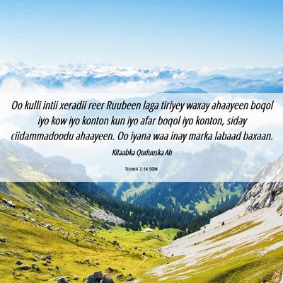 Picture 06 - Tirintii 2:16 SOM - Oo kulli intii xeradii reer Ruubeen laga tiriyey - Bible Verse Picture