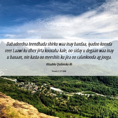 Picture 06 - Tirintii 2:17 SOM - Dabadeedna teendhada shirku waa inay baxdaa, - Bible Verse Picture