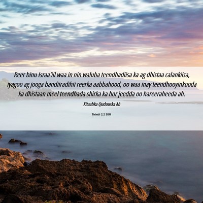Picture 06 - Tirintii 2:2 SOM - Reer binu Israa'iil waa in nin waluba - Bible Verse Picture