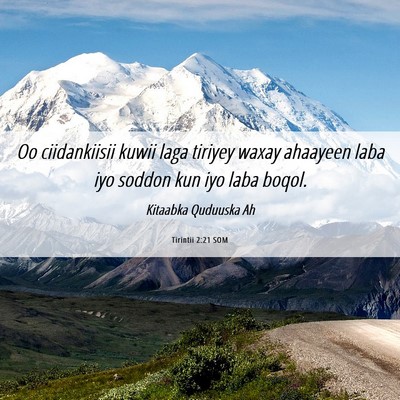 Picture 06 - Tirintii 2:21 SOM - Oo ciidankiisii kuwii laga tiriyey waxay ahaayeen - Bible Verse Picture
