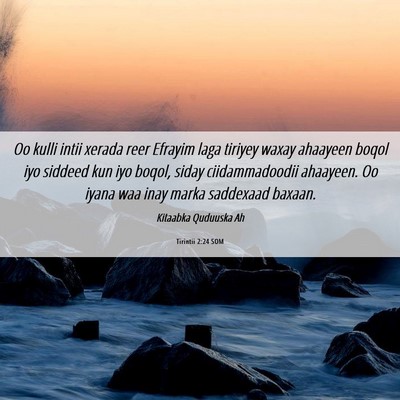 Picture 06 - Tirintii 2:24 SOM - Oo kulli intii xerada reer Efrayim laga tiriyey - Bible Verse Picture