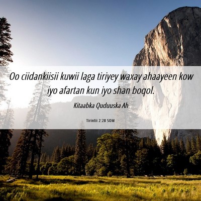 Picture 06 - Tirintii 2:28 SOM - Oo ciidankiisii kuwii laga tiriyey waxay ahaayeen - Bible Verse Picture