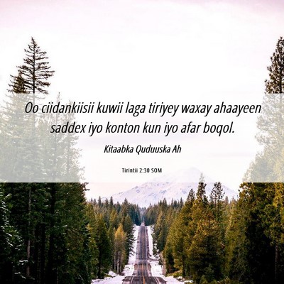 Picture 06 - Tirintii 2:30 SOM - Oo ciidankiisii kuwii laga tiriyey waxay ahaayeen - Bible Verse Picture
