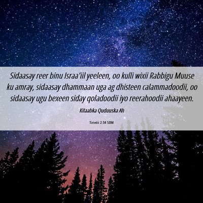 Picture 06 - Tirintii 2:34 SOM - Sidaasay reer binu Israa'iil yeeleen, oo kulli - Bible Verse Picture