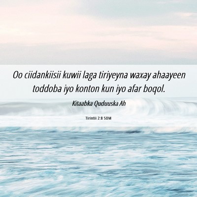 Picture 06 - Tirintii 2:8 SOM - Oo ciidankiisii kuwii laga tiriyeyna waxay - Bible Verse Picture