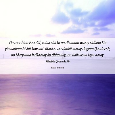 Picture 06 - Tirintii 20:1 SOM - Oo reer binu Israa'iil, xataa shirkii oo dhammu - Bible Verse Picture