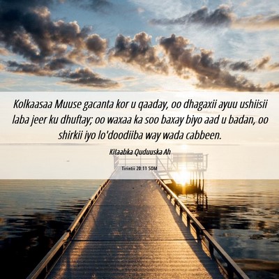 Picture 06 - Tirintii 20:11 SOM - Kolkaasaa Muuse gacanta kor u qaaday, oo dhagaxii - Bible Verse Picture