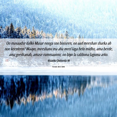 Picture 06 - Tirintii 20:5 SOM - Oo maxaadse dalkii Masar nooga soo bixiseen, oo - Bible Verse Picture
