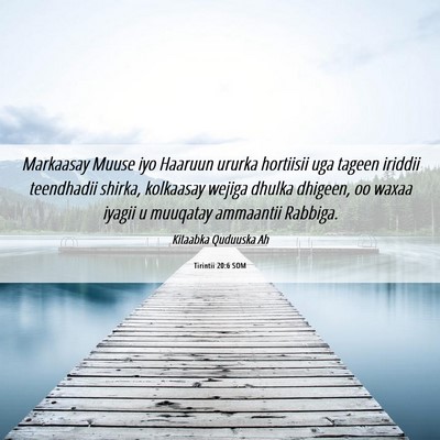Picture 06 - Tirintii 20:6 SOM - Markaasay Muuse iyo Haaruun ururka hortiisii uga - Bible Verse Picture
