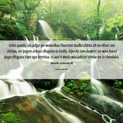 Picture 06 - Tirintii 20:8 SOM - Usha qaado, oo adiga iyo walaalkaa Haaruun dadka - Bible Verse Picture