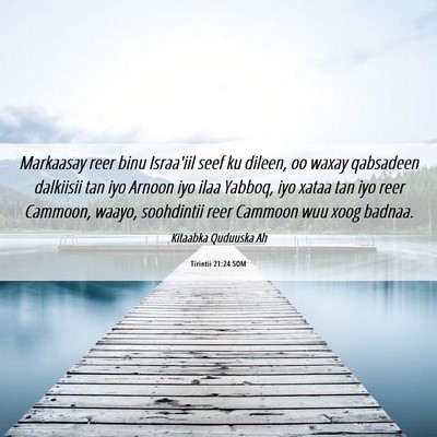 Picture 06 - Tirintii 21:24 SOM - Markaasay reer binu Israa'iil seef ku dileen, oo - Bible Verse Picture