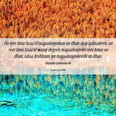 Picture 06 - Tirintii 21:25 SOM - Oo reer binu Israa'iil magaalooyinkan oo dhan - Bible Verse Picture