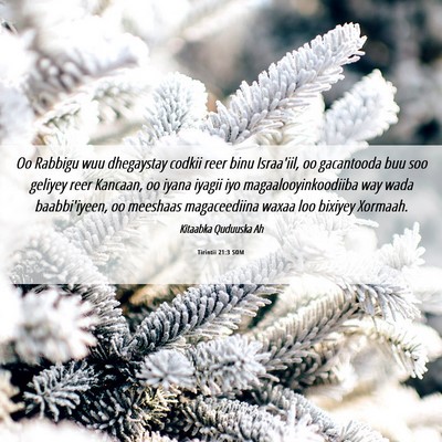 Picture 06 - Tirintii 21:3 SOM - Oo Rabbigu wuu dhegaystay codkii reer binu - Bible Verse Picture