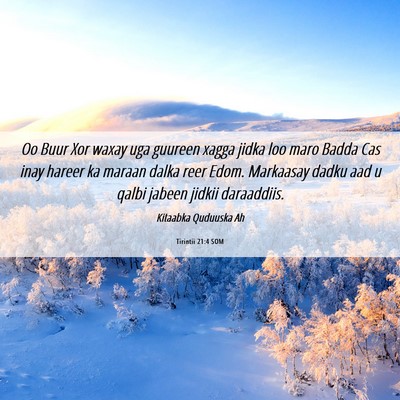 Picture 06 - Tirintii 21:4 SOM - Oo Buur Xor waxay uga guureen xagga jidka loo - Bible Verse Picture