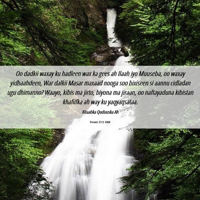 Picture 06 - Tirintii 21:5 SOM - Oo dadkii waxay ku hadleen wax ka gees ah Ilaah - Bible Verse Picture