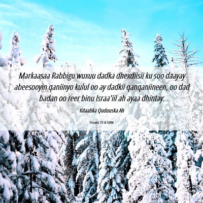 Picture 06 - Tirintii 21:6 SOM - Markaasaa Rabbigu wuxuu dadka dhexdiisii ku soo - Bible Verse Picture