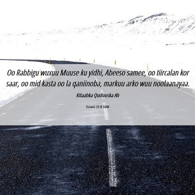 Picture 06 - Tirintii 21:8 SOM - Oo Rabbigu wuxuu Muuse ku yidhi, Abeeso samee, oo - Bible Verse Picture