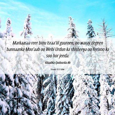 Picture 06 - Tirintii 22:1 SOM - Markaasaa reer binu Israa'iil guureen, oo waxay - Bible Verse Picture