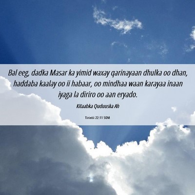 Picture 06 - Tirintii 22:11 SOM - Bal eeg, dadka Masar ka yimid waxay qarinayaan - Bible Verse Picture