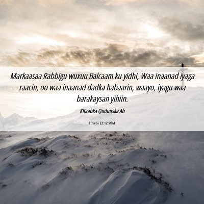 Picture 06 - Tirintii 22:12 SOM - Markaasaa Rabbigu wuxuu Balcaam ku yidhi, Waa - Bible Verse Picture