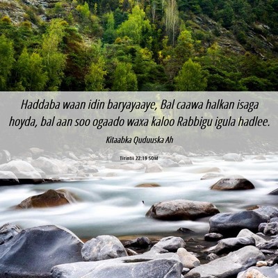Picture 06 - Tirintii 22:19 SOM - Haddaba waan idin baryayaaye, Bal caawa halkan - Bible Verse Picture
