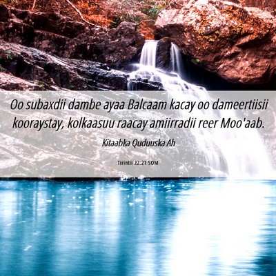Picture 06 - Tirintii 22:21 SOM - Oo subaxdii dambe ayaa Balcaam kacay oo - Bible Verse Picture