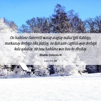 Picture 06 - Tirintii 22:25 SOM - Oo haddana dameertii waxay aragtay malaa'igtii - Bible Verse Picture