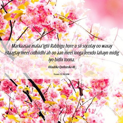 Picture 06 - Tirintii 22:26 SOM - Markaasaa malaa'igtii Rabbigu hore u sii socotay - Bible Verse Picture