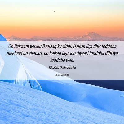 Picture 06 - Tirintii 23:1 SOM - Oo Balcaam wuxuu Baalaaq ku yidhi, Halkan iiga - Bible Verse Picture