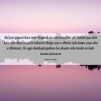 Picture 06 - Tirintii 23:10 SOM - Bal yaa qiyaasi kara reer Yacquub oo sida boodhka - Bible Verse Picture