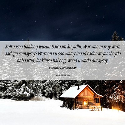 Picture 06 - Tirintii 23:11 SOM - Kolkaasaa Baalaaq wuxuu Balcaam ku yidhi, War waa - Bible Verse Picture