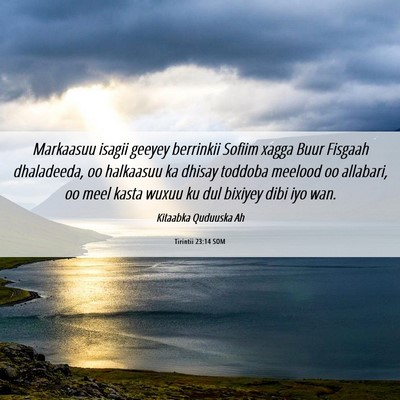 Picture 06 - Tirintii 23:14 SOM - Markaasuu isagii geeyey berrinkii Sofiim xagga - Bible Verse Picture