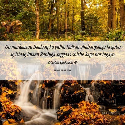 Picture 06 - Tirintii 23:15 SOM - Oo markaasuu Baalaaq ku yidhi, Halkan - Bible Verse Picture