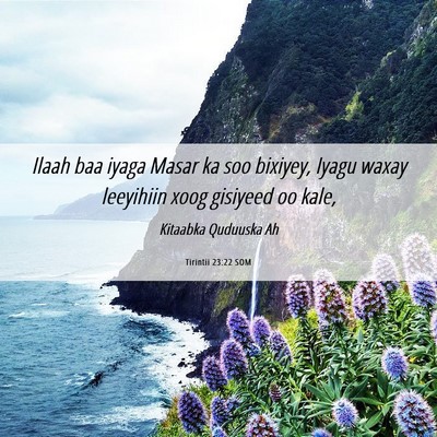 Picture 06 - Tirintii 23:22 SOM - Ilaah baa iyaga Masar ka soo bixiyey, Iyagu waxay - Bible Verse Picture