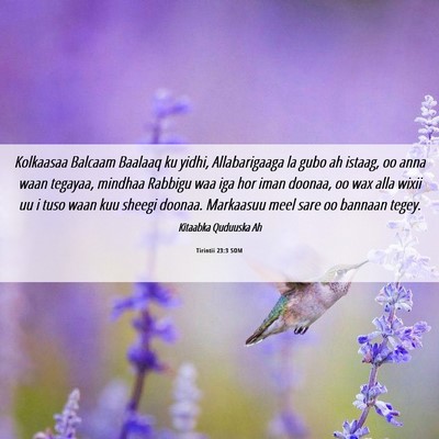 Picture 06 - Tirintii 23:3 SOM - Kolkaasaa Balcaam Baalaaq ku yidhi, Allabarigaaga - Bible Verse Picture