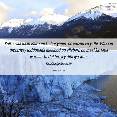 Picture 06 - Tirintii 23:4 SOM - Kolkaasaa Ilaah Balcaam ka hor yimid, oo wuxuu ku - Bible Verse Picture