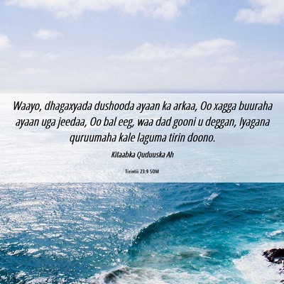 Picture 06 - Tirintii 23:9 SOM - Waayo, dhagaxyada dushooda ayaan ka arkaa, Oo - Bible Verse Picture