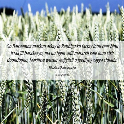 Picture 06 - Tirintii 24:1 SOM - Oo Balcaamna markuu arkay in Rabbigu ku farxay - Bible Verse Picture