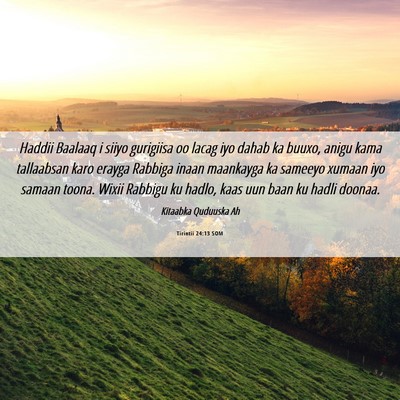 Picture 06 - Tirintii 24:13 SOM - Haddii Baalaaq i siiyo gurigiisa oo lacag iyo - Bible Verse Picture