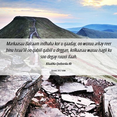 Picture 06 - Tirintii 24:2 SOM - Markaasaa Balcaam indhaha kor u qaaday, oo wuxuu - Bible Verse Picture
