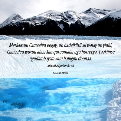 Picture 06 - Tirintii 24:20 SOM - Markaasuu Camaaleq eegay, oo hadalkiisii sii - Bible Verse Picture