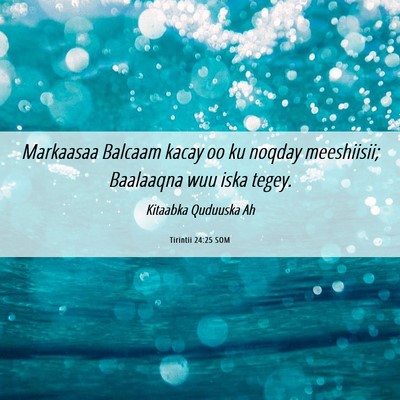 Picture 06 - Tirintii 24:25 SOM - Markaasaa Balcaam kacay oo ku noqday meeshiisii; - Bible Verse Picture
